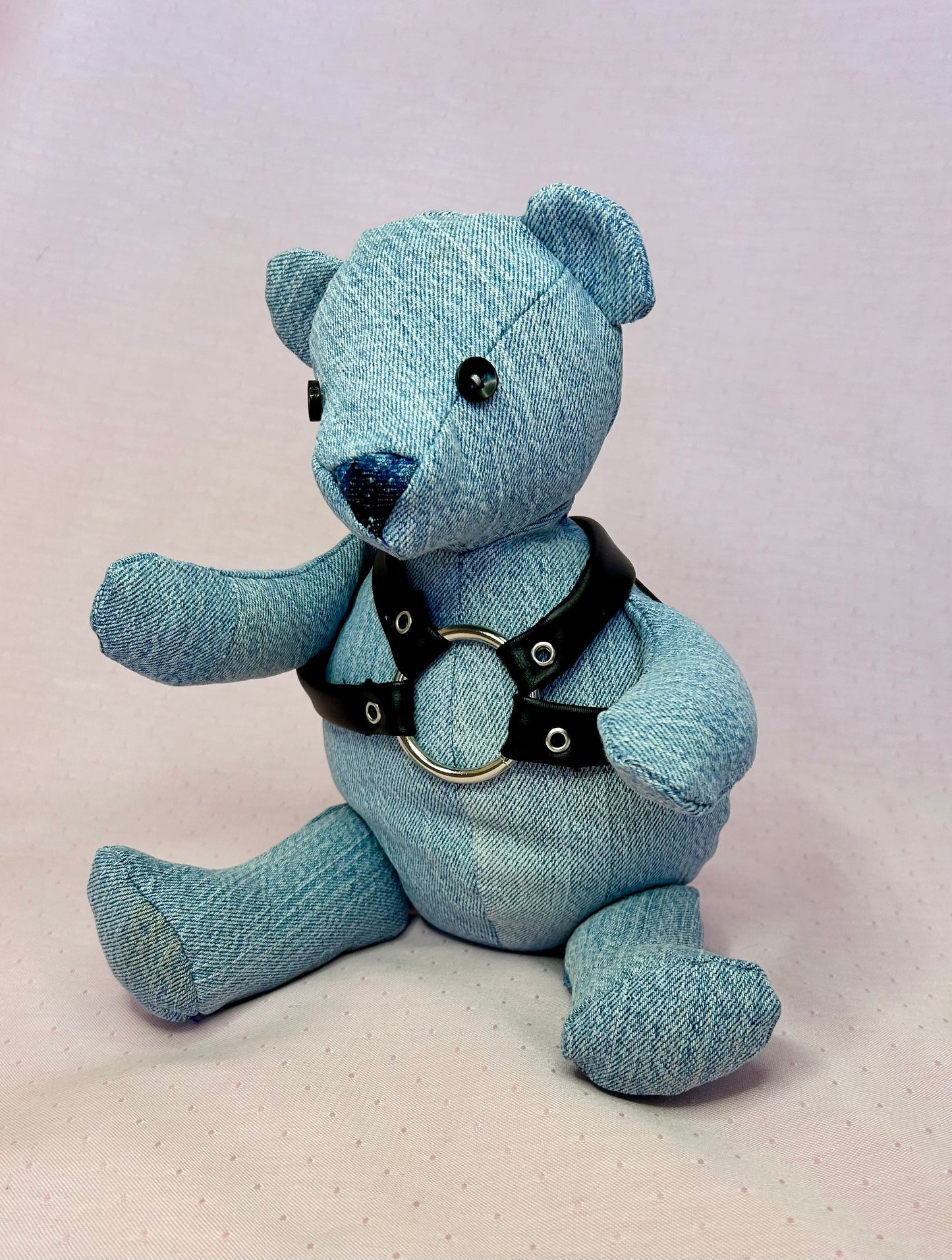 Pride Bear with Harness